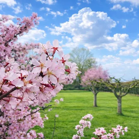 Luxe Ruime Studio's 38 Bed & Breakfast *