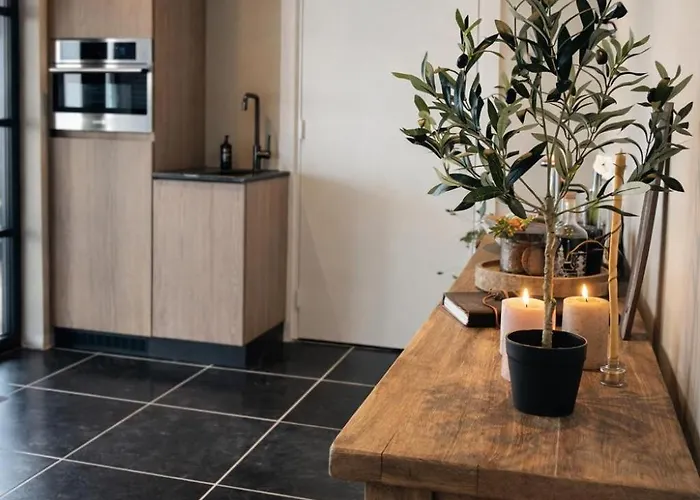 Luxe Ruime Studio's 38 Velden