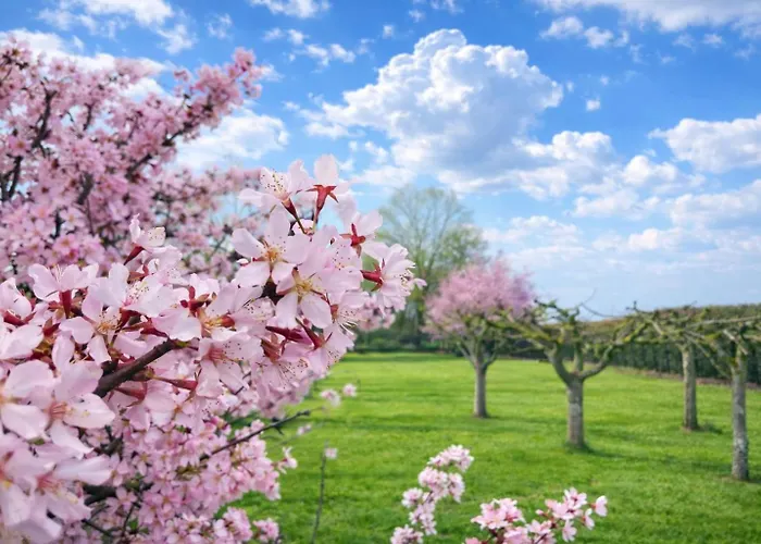 Luxe Ruime Studio's 38 Bed & Breakfast *