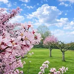 Luxe Ruime Studio's 38 Bed & Breakfast 3*