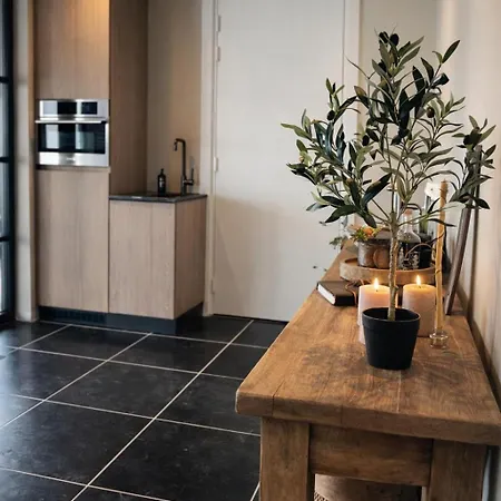 Luxe Ruime Studio's 38 فيلدين